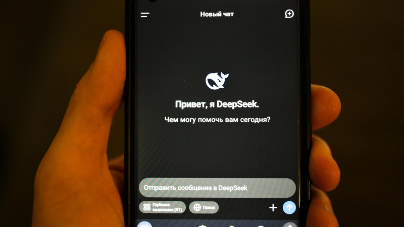 Власти Нидерландов запретили DeepSeek для госслужащих