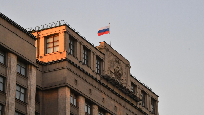 Члены ГД проведут встречу с депутатом ЕП от Люксембурга