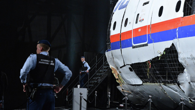 Нидерландский журналист счел решение ИКАО по MH17 попыткой очернить Россию