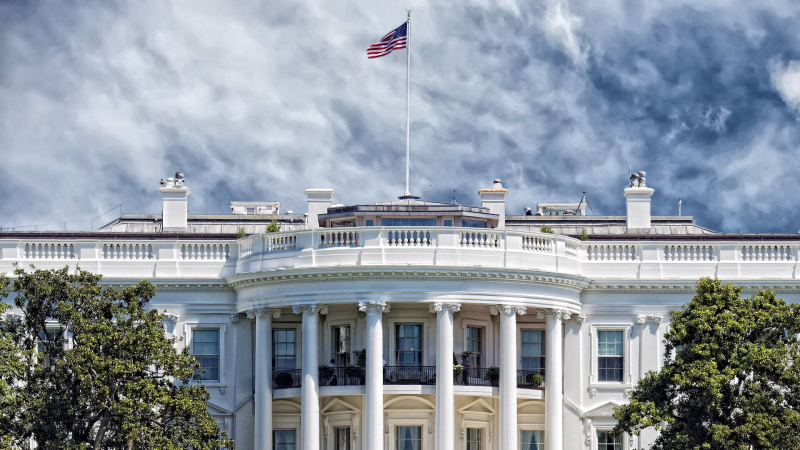 Аналитик посчитал, сколько смогут заработать США на пошлинах Трампа