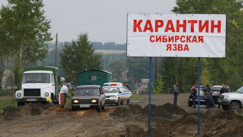 Два села закрыли на карантин в Акмолинской области из-за сибирской язвы