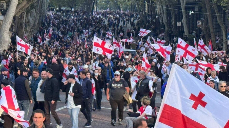 В Тбилиси митингующие ворвались во двор резиденции президента