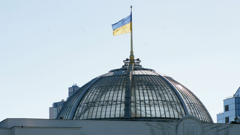 В Раде заявили, что Украине нужна поддержка стран БРИКС
